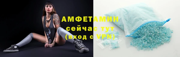 крисы Армянск